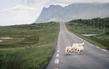 Lofoten Norja road