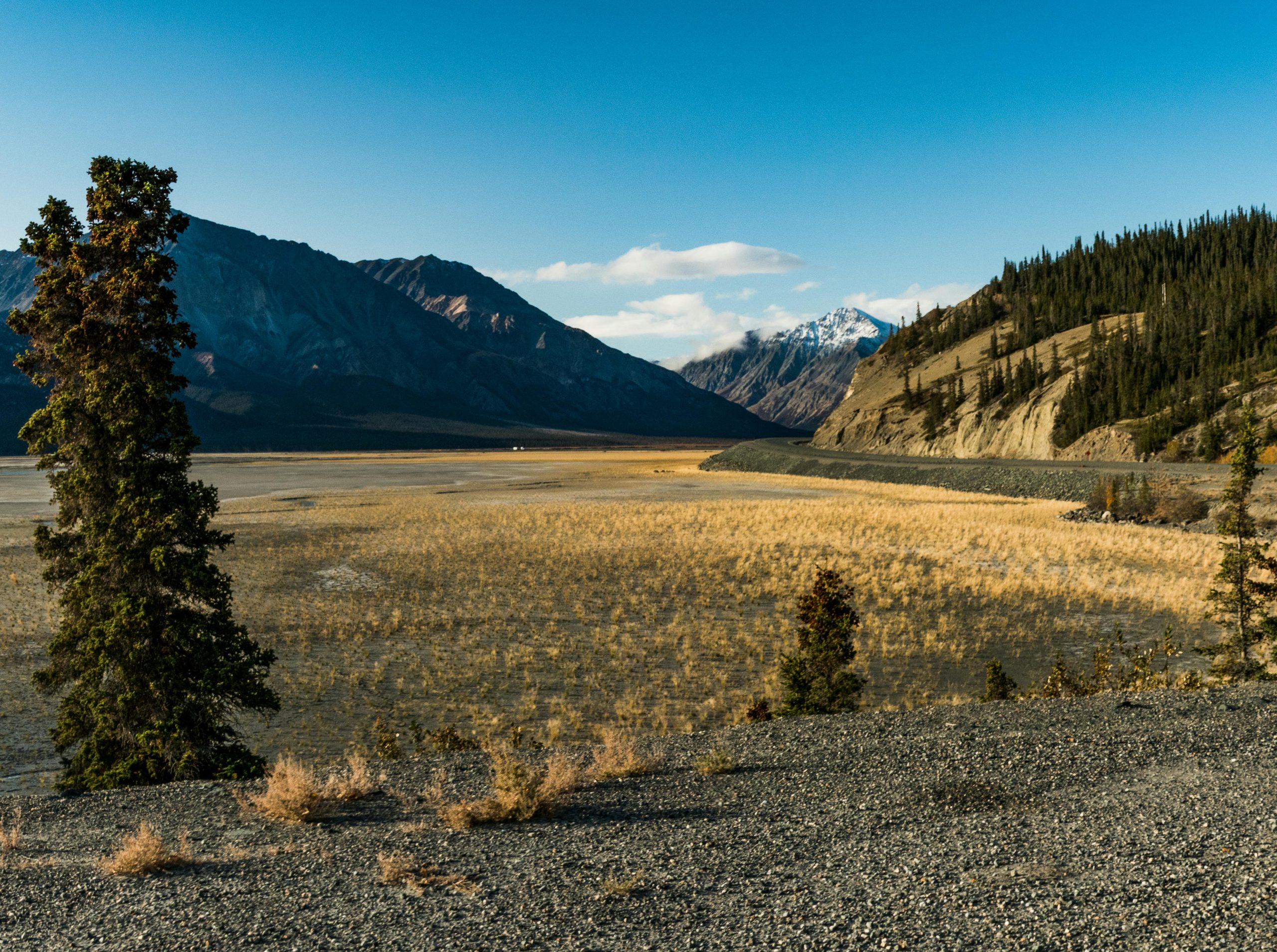 Yukon Landscape